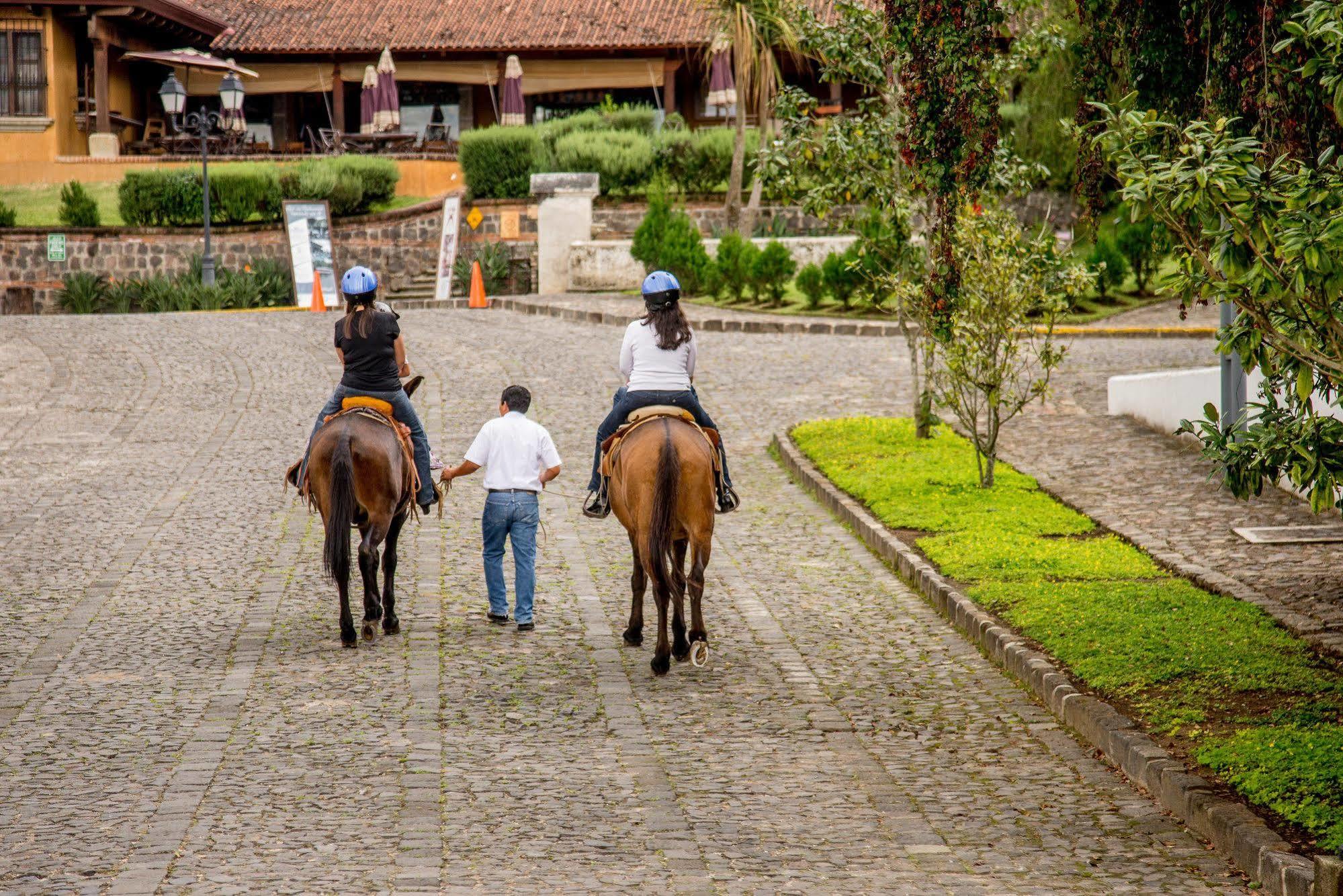 Filadelfia Coffee Resort & Tour Jocotenango Exterior foto